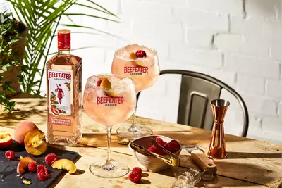 Top 8 Loại Rượu Gin Nổi Tiếng Thế Giới