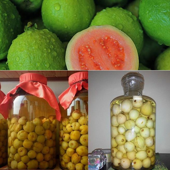 Rượu ổi hỗ trợ tiêu hóa