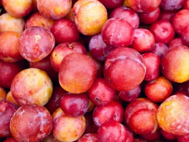 Chọn mận có độ chín vừa phải